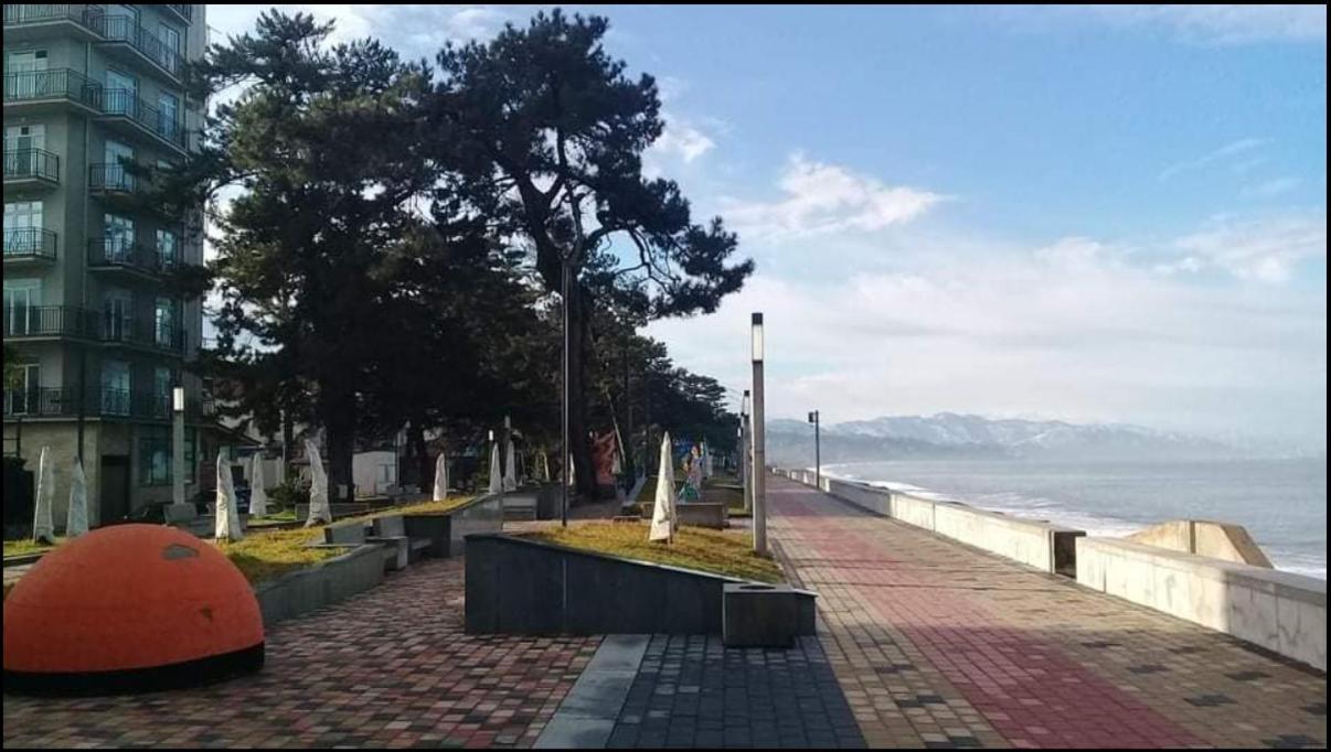 Apartment With Sea View 37 Kobuleti Zewnętrze zdjęcie